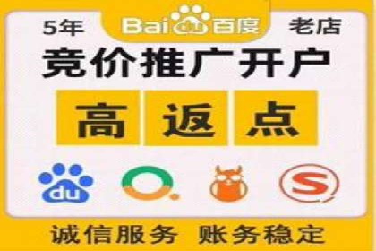 案例分析：百度推广成功案例解析